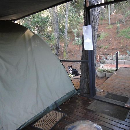Eagles' Call Cottages And Tent Wilderness Ngoại thất bức ảnh