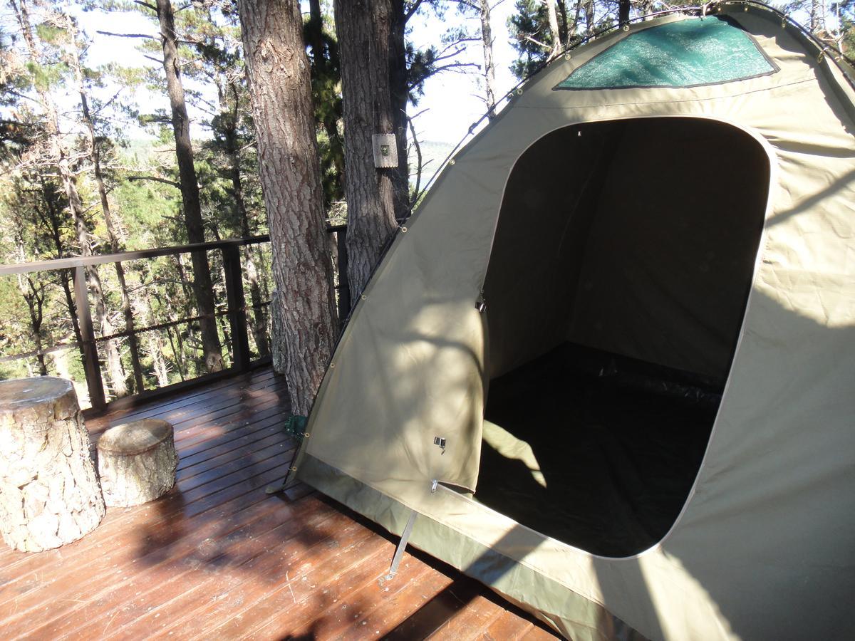 Eagles' Call Cottages And Tent Wilderness Ngoại thất bức ảnh