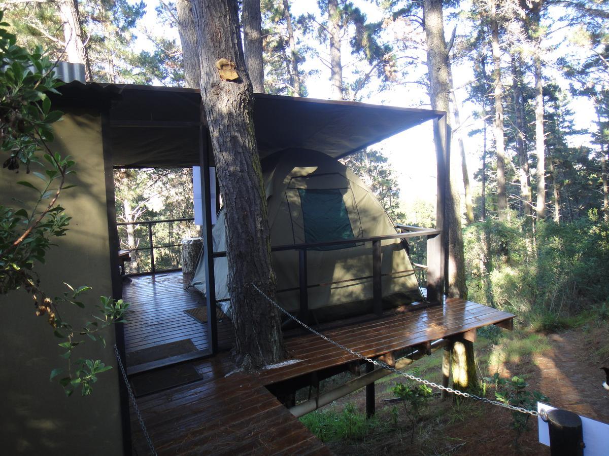 Eagles' Call Cottages And Tent Wilderness Ngoại thất bức ảnh