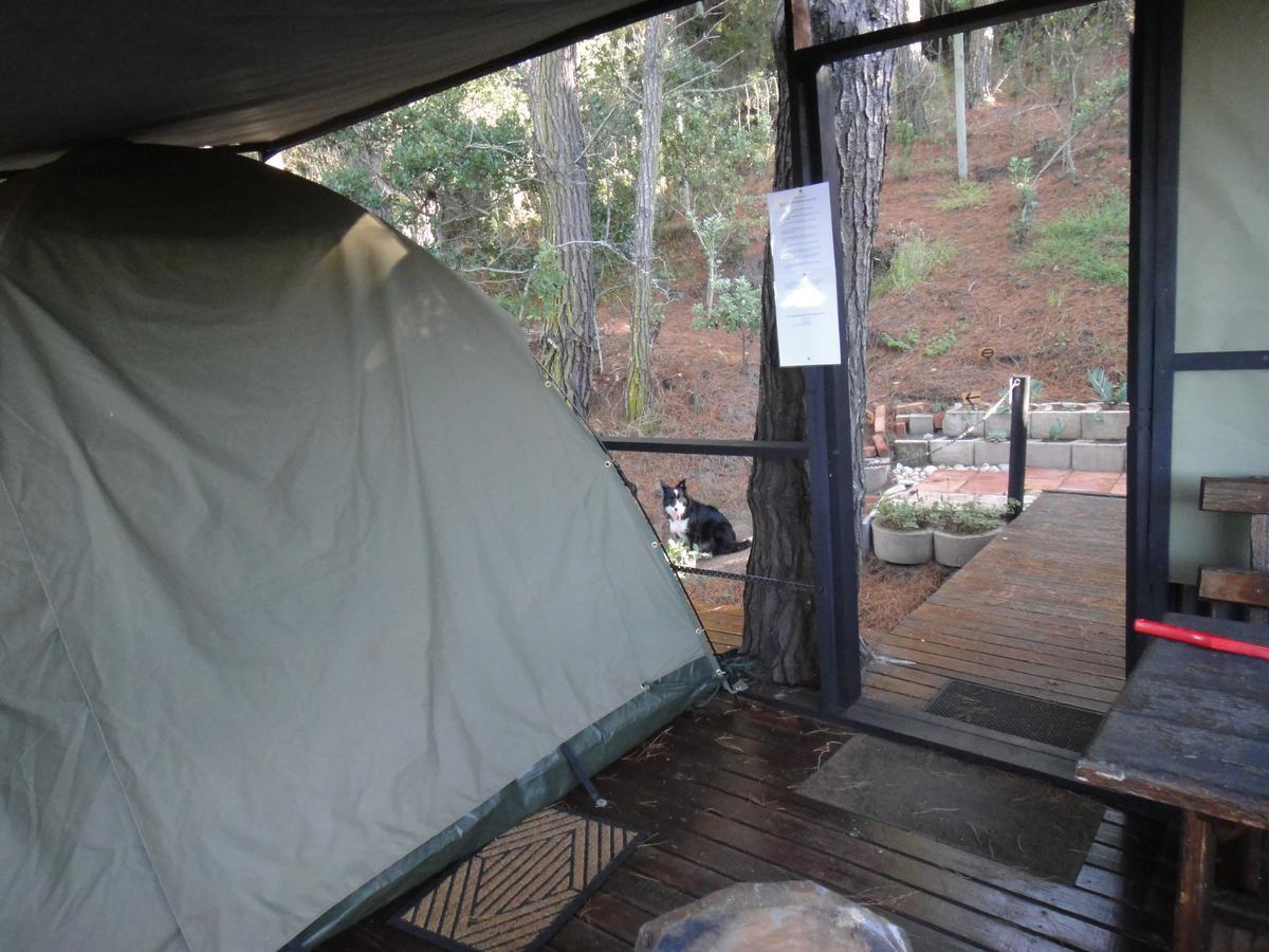 Eagles' Call Cottages And Tent Wilderness Ngoại thất bức ảnh