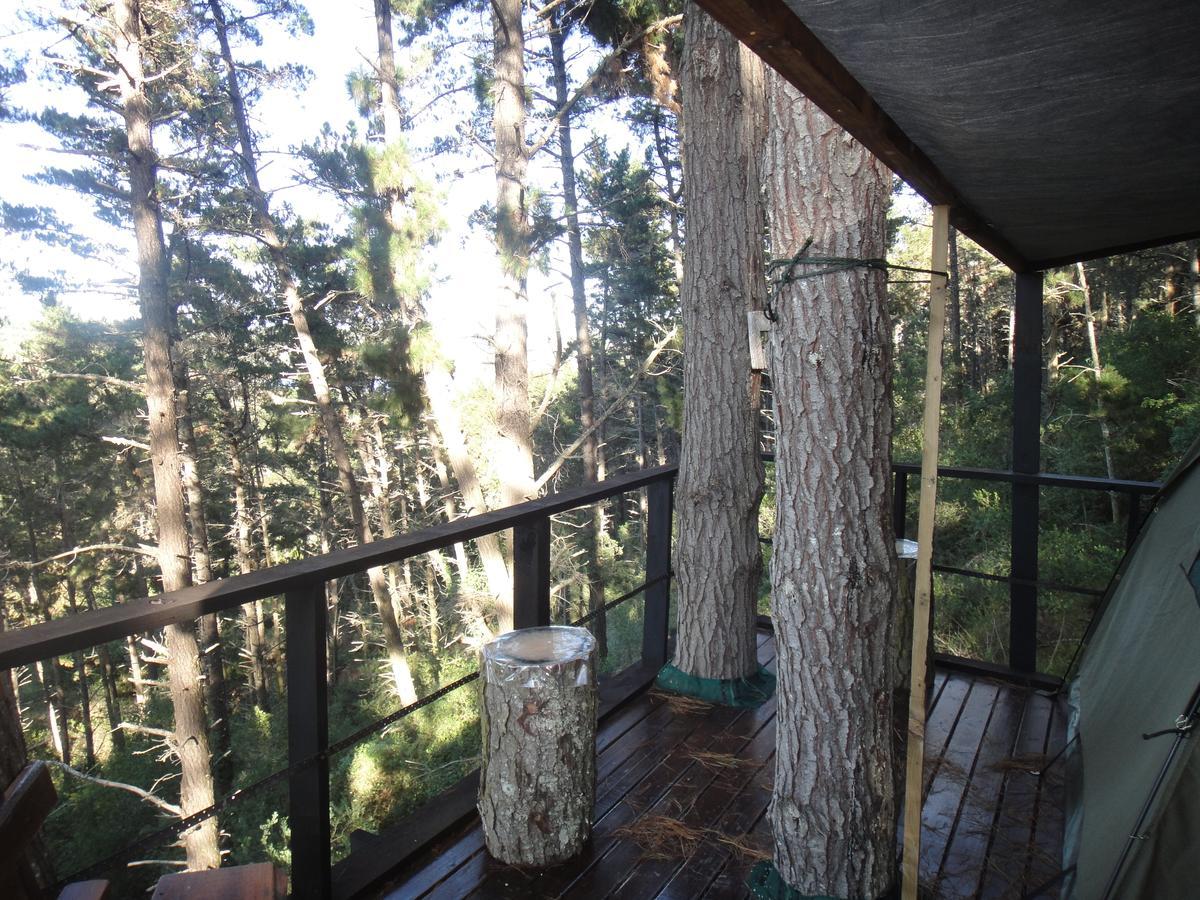 Eagles' Call Cottages And Tent Wilderness Ngoại thất bức ảnh
