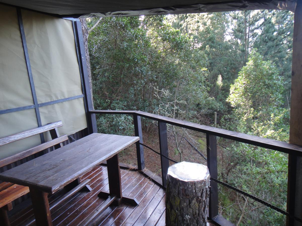 Eagles' Call Cottages And Tent Wilderness Ngoại thất bức ảnh